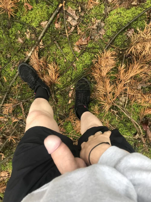 Got to enjoy that early morning hike by c_sydu