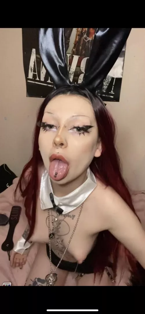 goth bunny at your service 🐰 by freakonaleash47