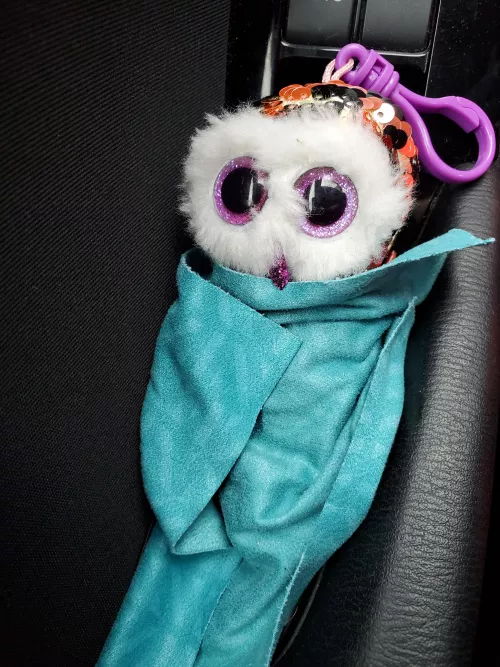 Gotta keep your stuffies warm on car rides!! by little_middle_mousey