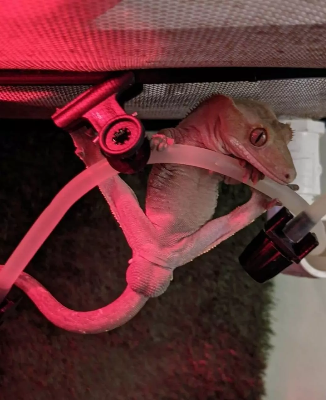 gotta let your nuts hang posted by spooktree