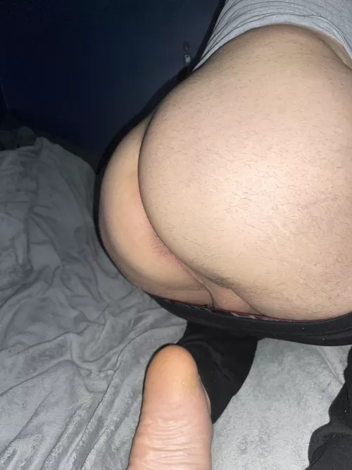 Grab a ass! by Revolutionary_Ad1420