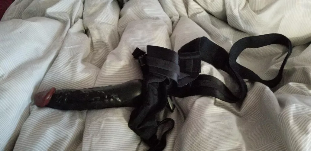 Great t ok get this big boy!! by Rude-Cartographer733