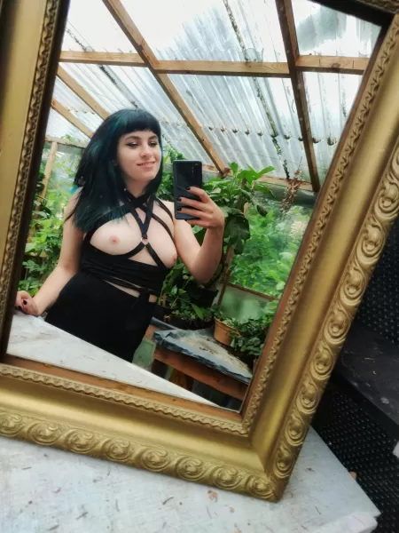 greenhouse nudes 💚 by aprilx666