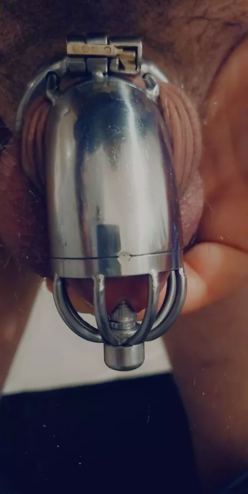 Greetings all, trying a cage with urethral sound, does anyone have experience with these on long term? by Lopsided_Carpenter76