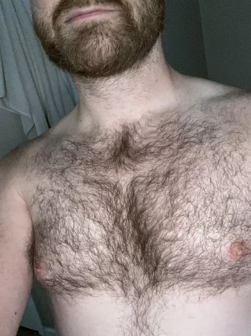 Greetings from Texas by DldfwDad