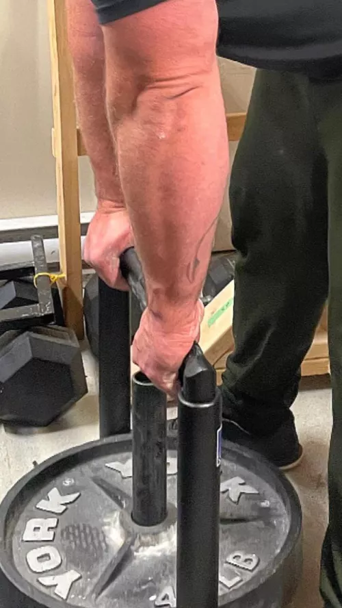 Grip machine holds, 17.5” flexed. Insane pump by Pinetarbox