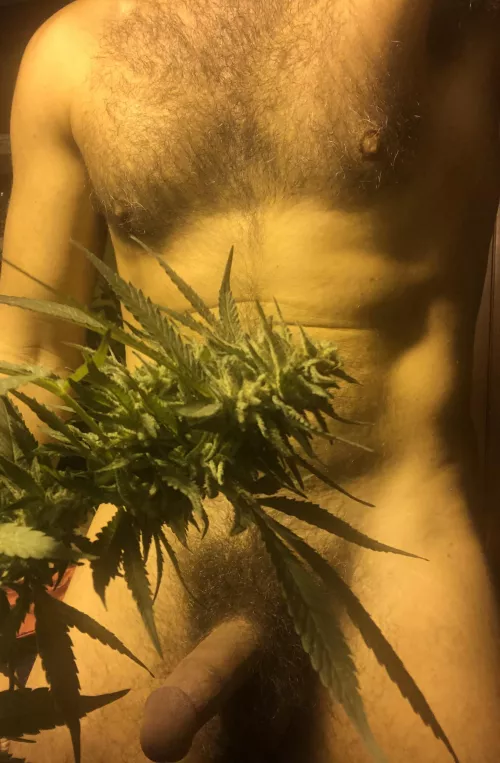 grower by pursuitofhotpenis