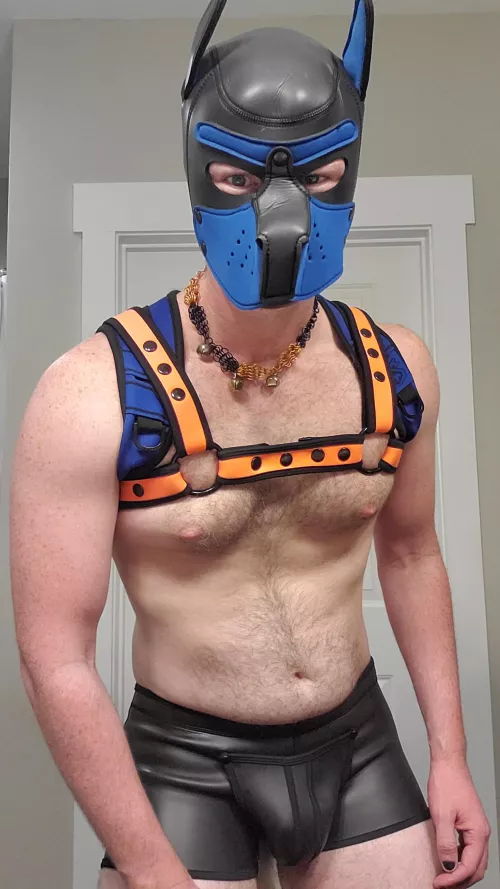 Grrrr by EmergenceHumor