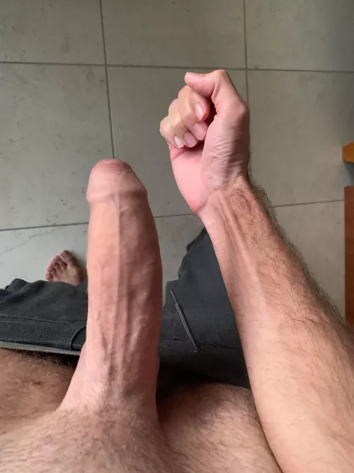 Guess the size 📏 by MenloBull