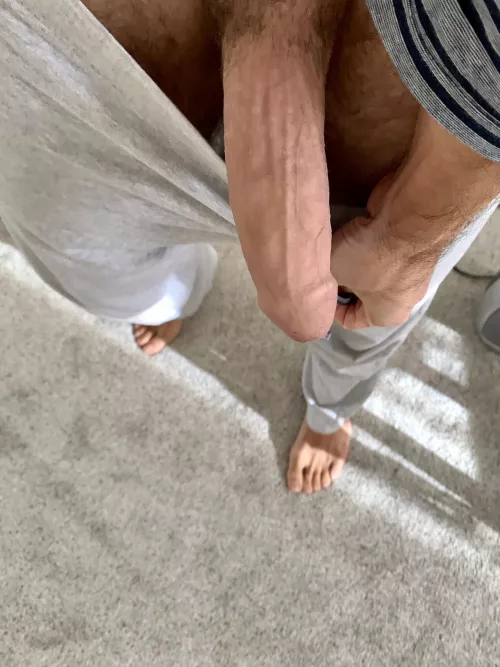 Guess the weight 🤓 by MenloBull