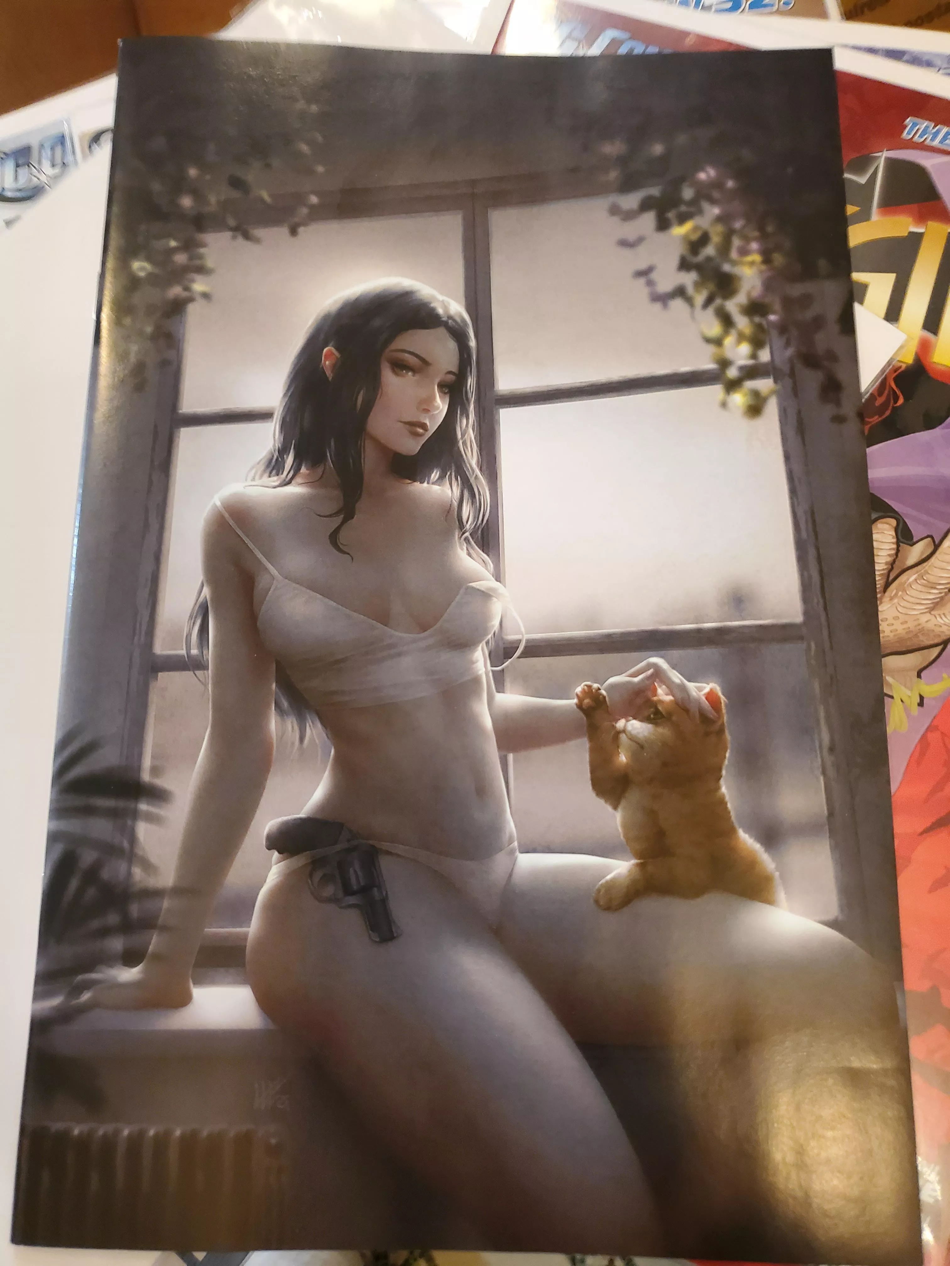 [Gun Honey #2] Virgin incentive cover. This series is quickly becoming a plot goldmine posted by Thayerphotos