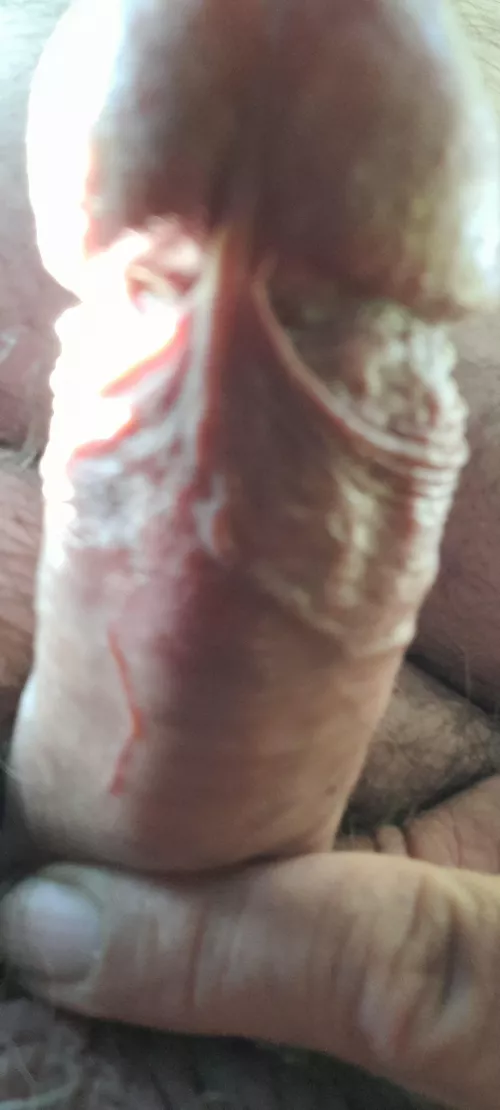 Guten Abend by Ok_Jello_5077