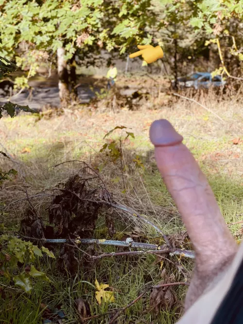 Guy got out to get a closer look 😉 by Ok-Cap3716