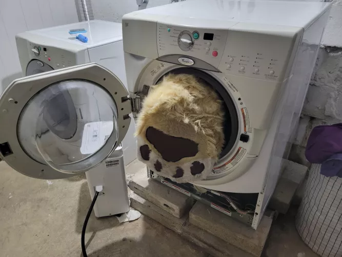 H E L P by spikes232v2