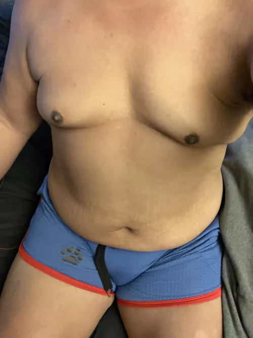 Ha! Just found out Tummy Tuesday is a thing. Lol by Lava619