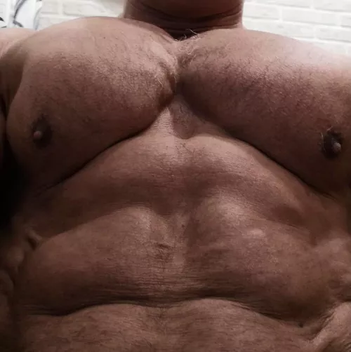 @habibulinrudolf2019 by Arceus626