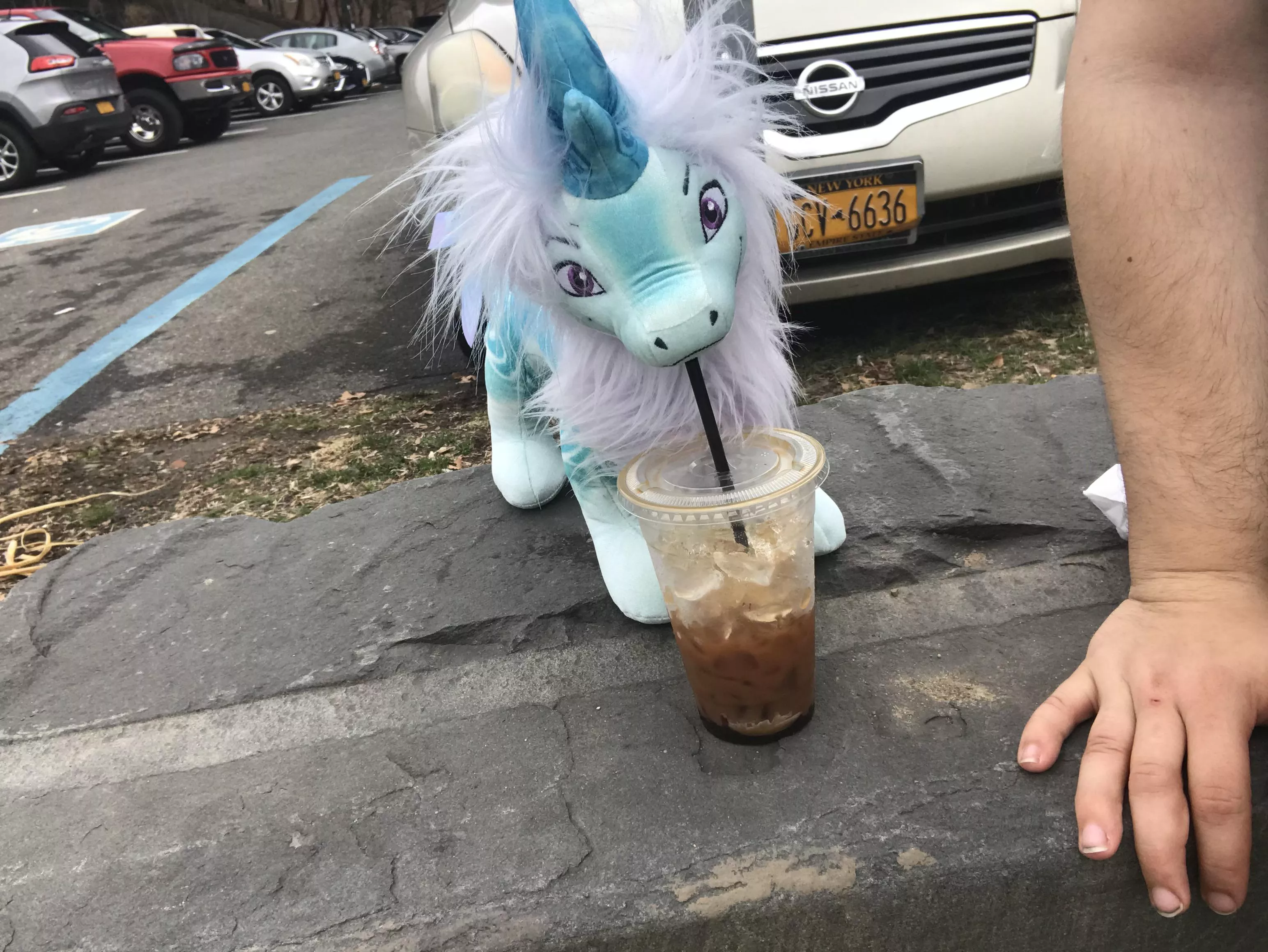 Had a day out with Sisu posted by ponyoluv