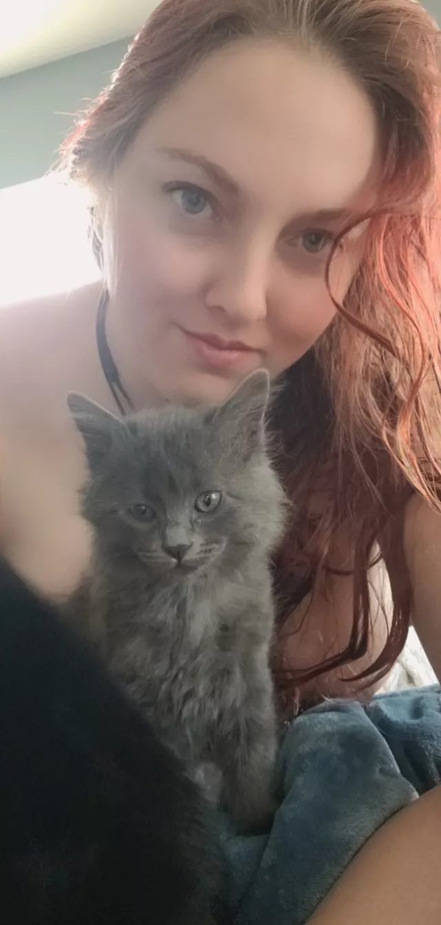 Had some visitors 😻 after my bath. 🥰 [F33] posted by Cartooncolee