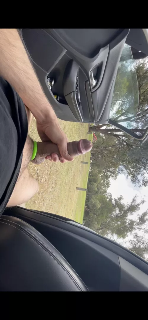 Had to get it out it was a nice day by ThickCreamyLoads