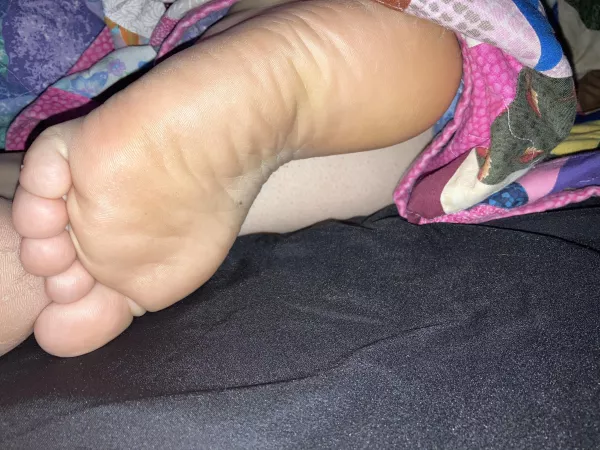 Had to give these a kiss before I left for work by BigTC31