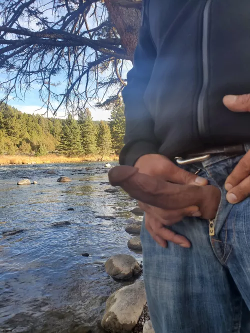 Had to let Jr breathe on a hike. by Phlip037