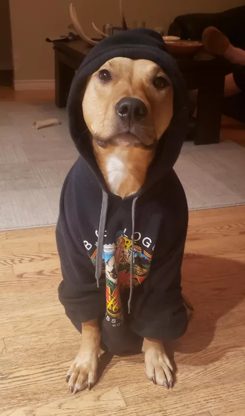 Had to roll up the sleeves for her by slitthelizardking