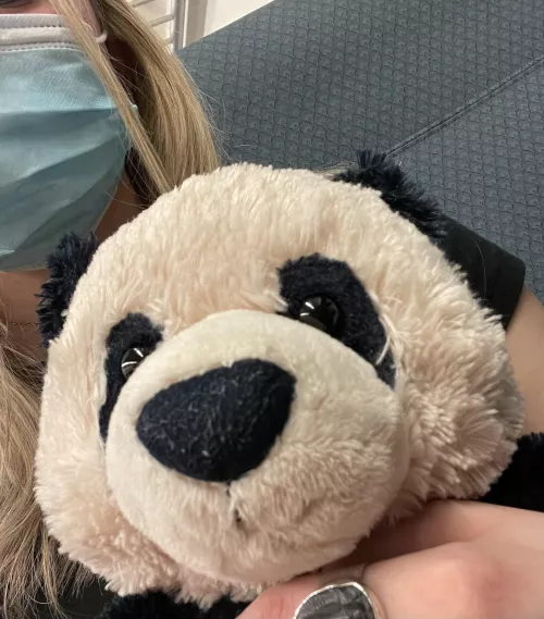 Had to take the train without daddy so I brought my co-pilot 🥰 by purple1248756