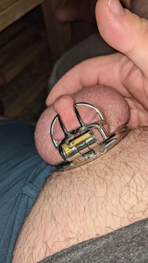 Haha I'm not horny at all! 🥲 by West_Narwhal_2045