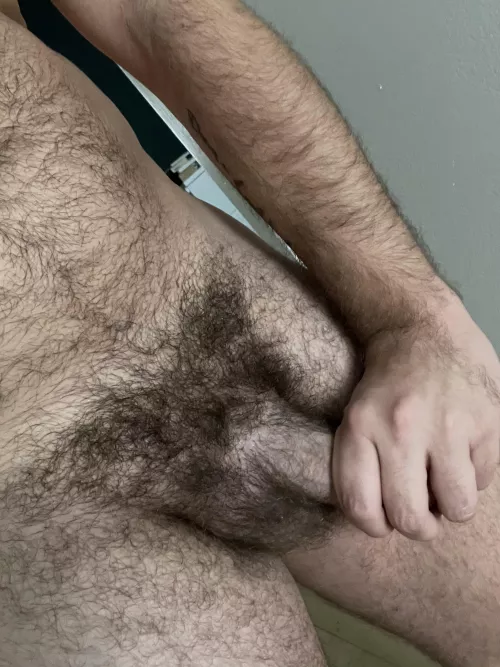 Hairier than ever by personne101