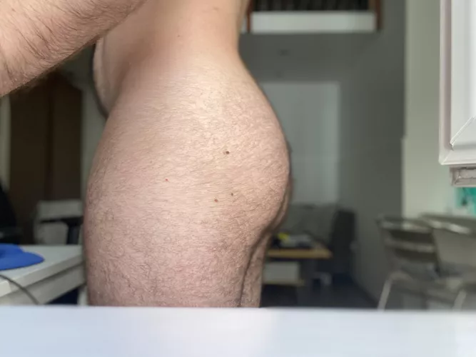 Hairier than it seems to be, look closer 😝 by hairytale30