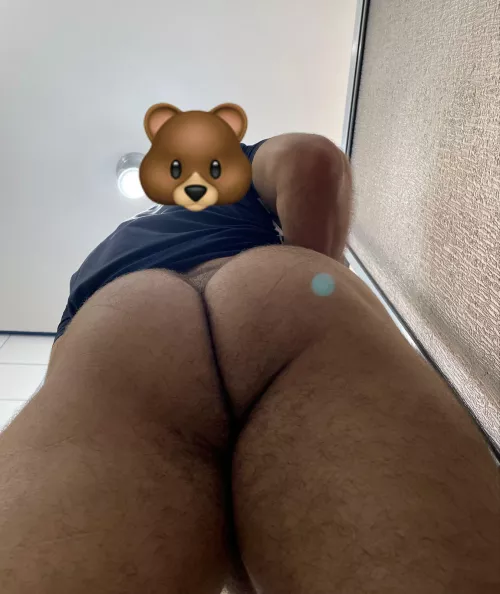 Hairy 🐻 by dirtypokemonfan