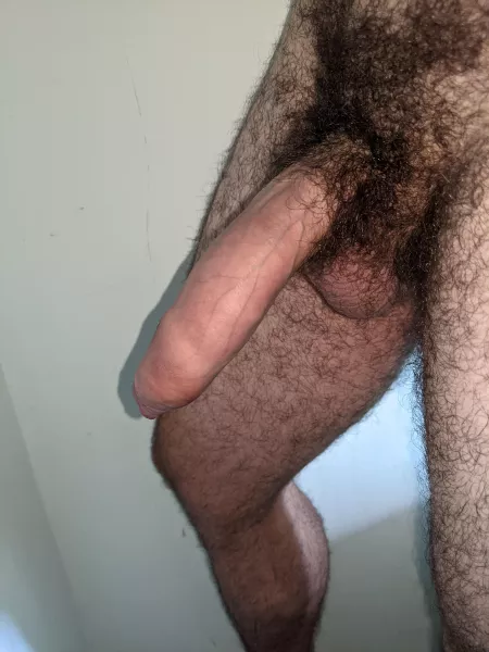 Hairy and heavy by RepresentativeSad416