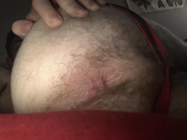 Hairy and horny. Who what’s a taste? by gaysubpup