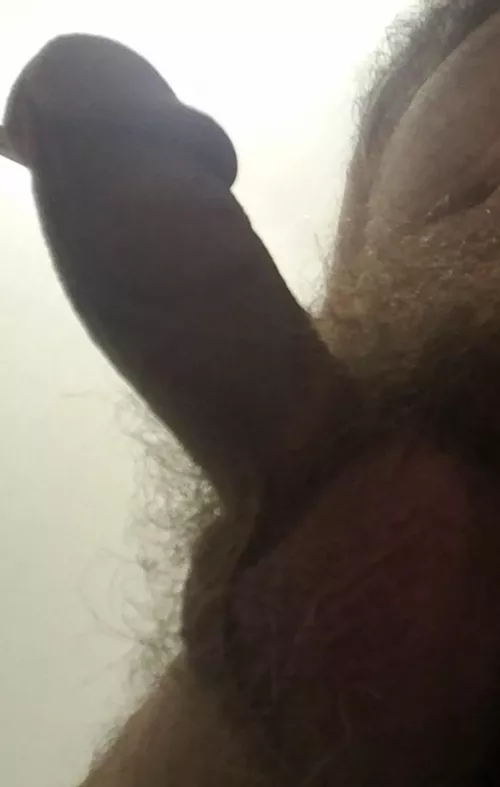 Hairy and thick by sdel23