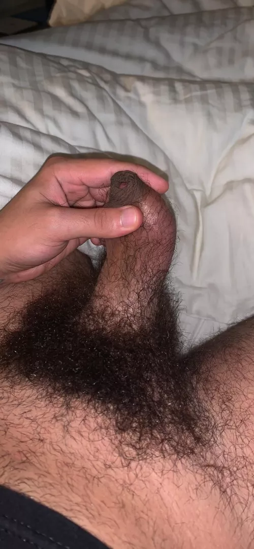 Hairy arab cock by Johnllee05uc