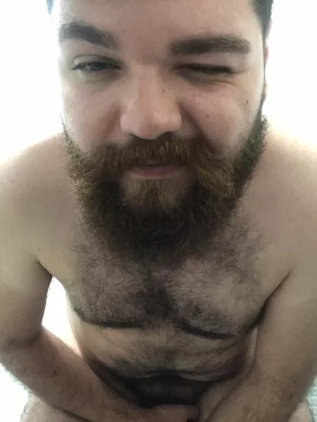 Hairy bear by Beardedguy955