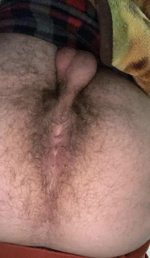 hairy boy hole by dbator_5757