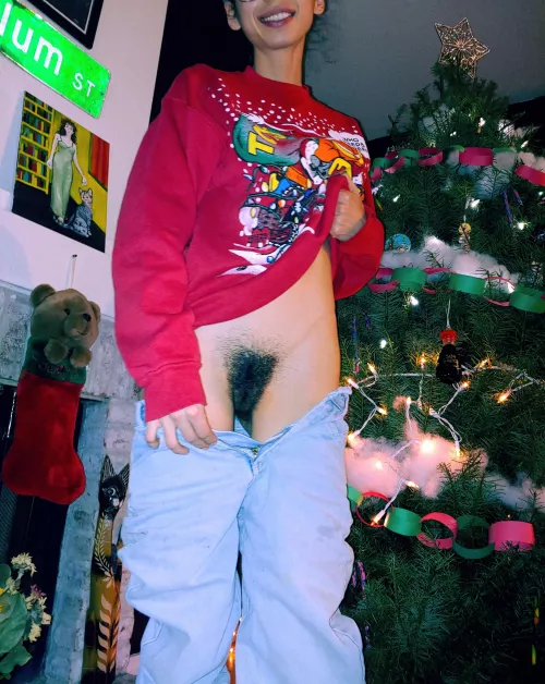 Hairy christmas :) by pixifantasia