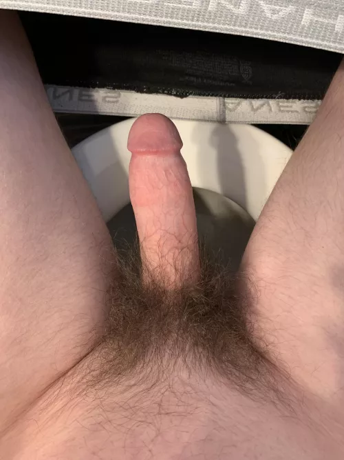 Hairy college sophomore, what do you think? by Junk_mail11