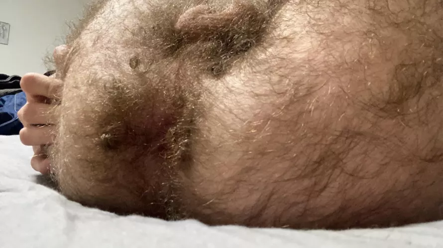 Hairy enough? (22) by datmachi