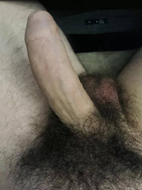 Hairy enough?? by tokio6969