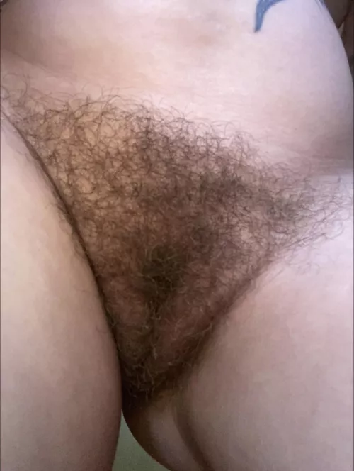 Hairy enough for you? by MissVeronicaRoseXo