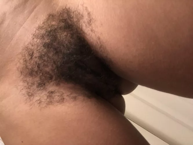 Hairy pussy at your service by mindydiamond
