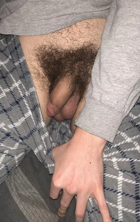 Hairy soft cock by Short_Oil