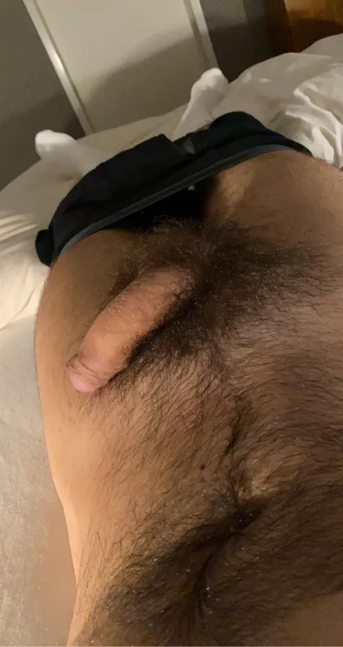 Hairy softie and white socks, any likes? by snksox92