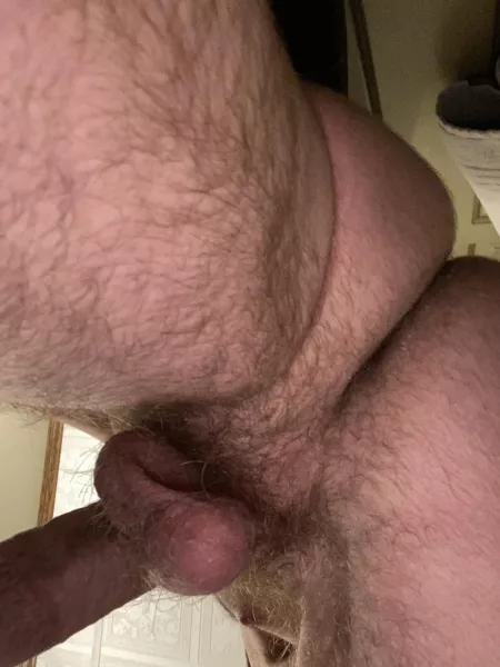 Hairy taint. by SingleMusician9651