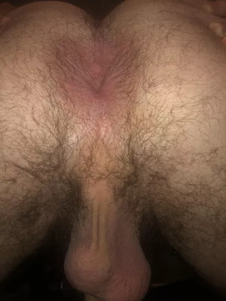 Hairy taint ready for a tongue or two by throwitawayin