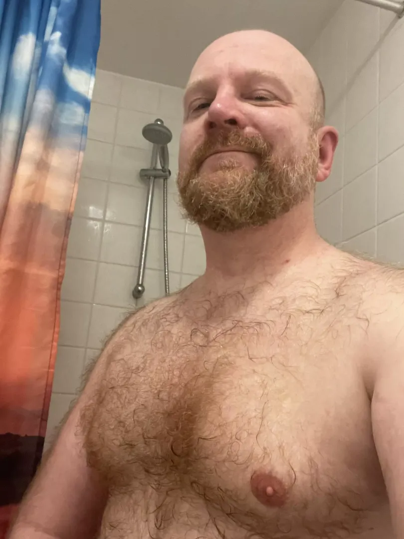Hairy & wet ginger fresh out of the shower... posted by TheHairyGinger