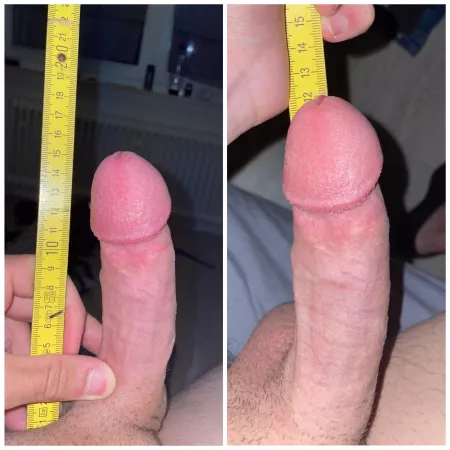 half erected and erected. what do you think? by [deleted]