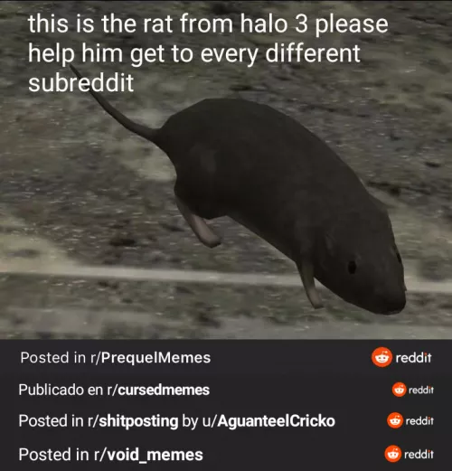 Halo 3 by International_Score8